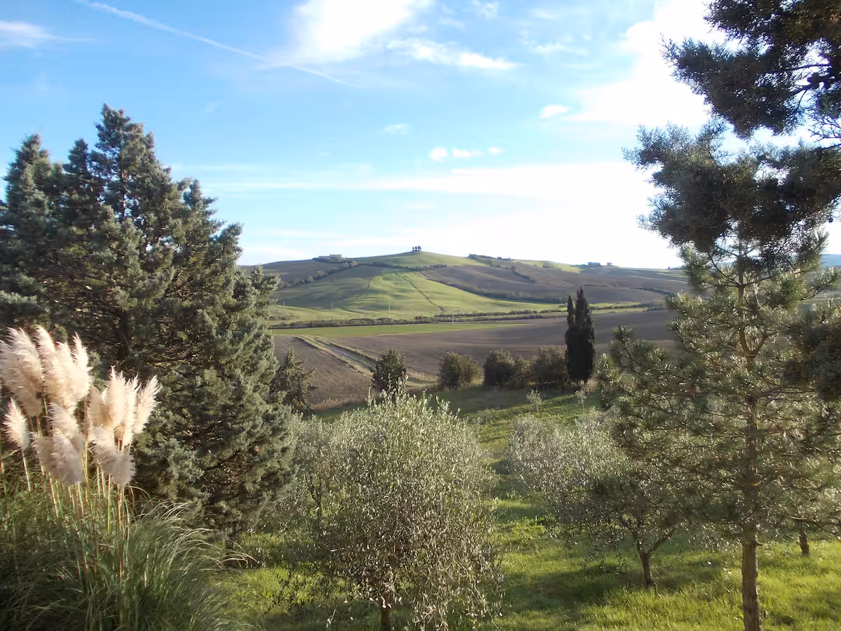 Dintorni 2